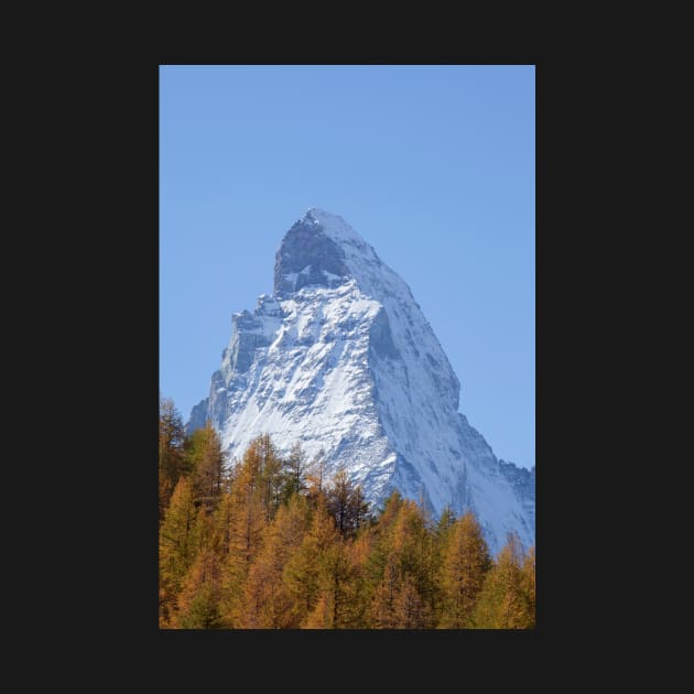 Matterhorn, autumn, trees, forest, Zermatt, Valais, Switzerland by Kruegerfoto