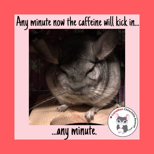 Chinchilla Thoughts by canchinrescue