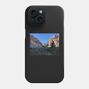 Canyon in Nevada Phone Case