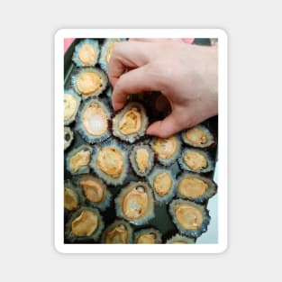 Grilled limpets Magnet