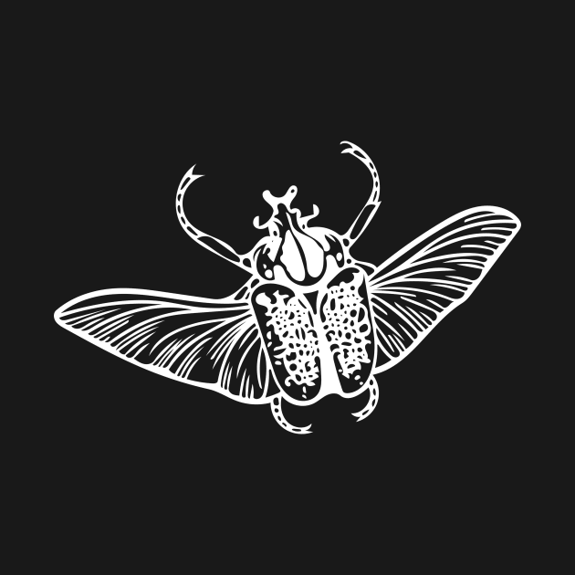 Goliath Beetle by LoraMaze