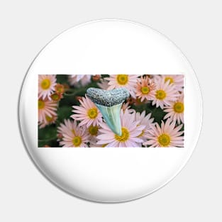 Pink Flowers and Shark Tooth Fossil in the Garden Print Pin