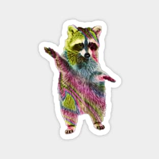 Rainbow Raccoon 4 Magnet