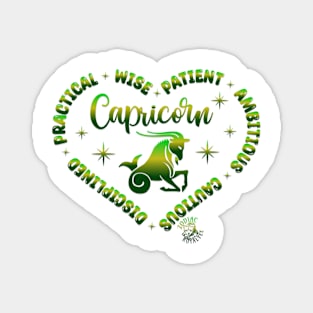 Capricorn Zodiac Tshirt Magnet