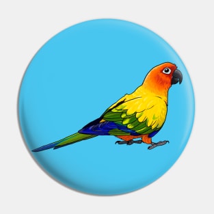 Sun Conure Pin