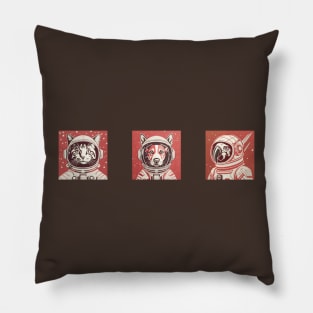 my Space crew Pillow