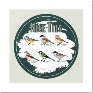 CINESSD Nice Tits Funny Bird Watching Funny Tit Birds Birdwatcher T-Shirt Cotton Tops T Shirt Design Special