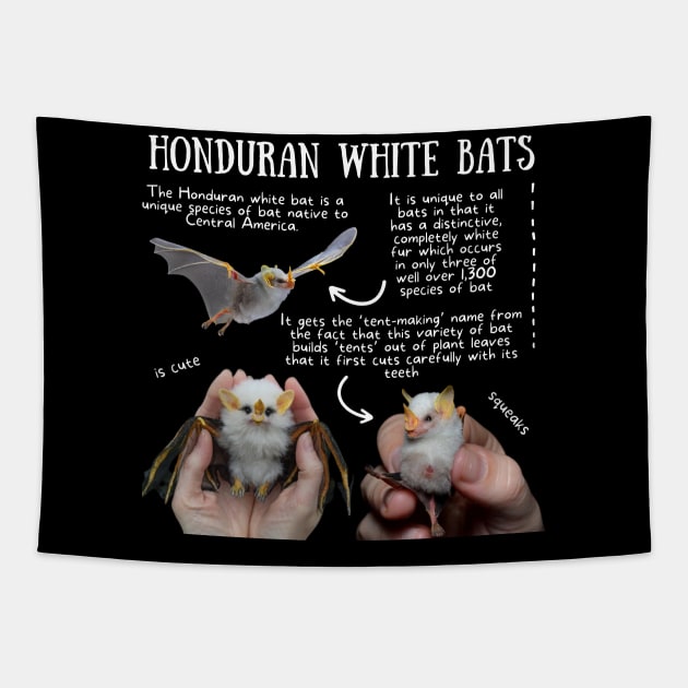 Animal Facts - Honduran White Bats Tapestry by Animal Facts and Trivias