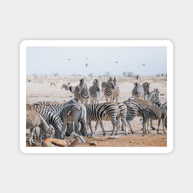 Safari Zebras Magnet by withluke