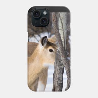 White tailed deer Phone Case