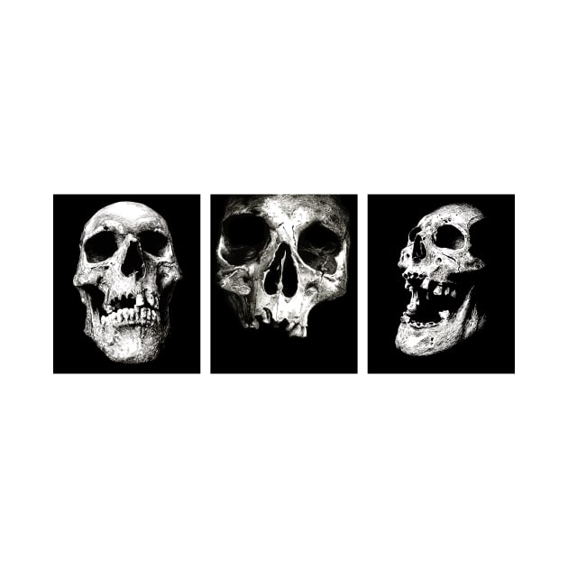 3 Skulls by Area 52