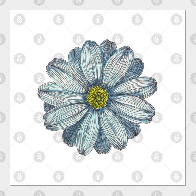 Forget Me Not Flower Posters And Art Prints Teepublic