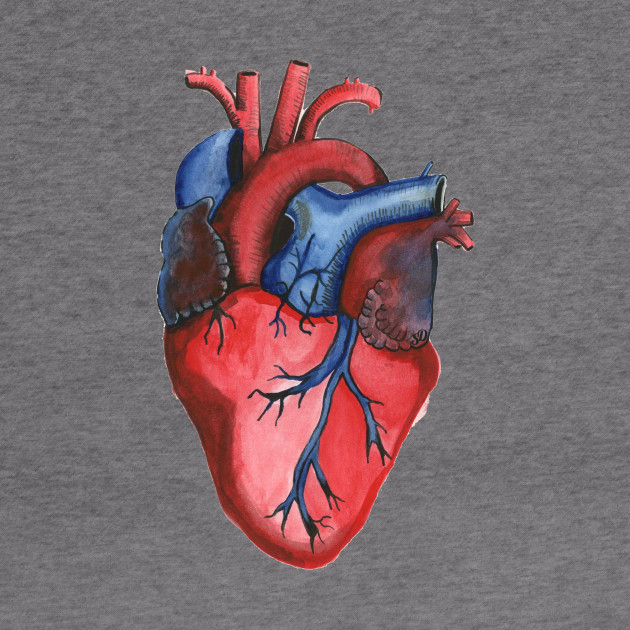 Anatomical Hand Painted Watercolor Heart Watercolor Hoodie