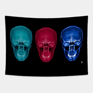 Three skulls , coloured X-ray skulls. Tapestry