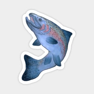 Steelhead Trout Painting Magnet