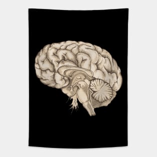 Brain human anatomy vintage mental Tapestry