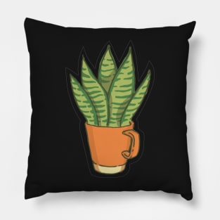 Sansevieria Liberica Pillow