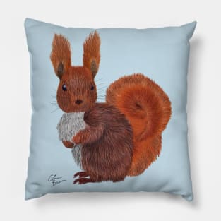 Cute and Colorful Red Squirrel Pillow