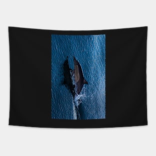 Dolphin off Surfers Paradise Tapestry