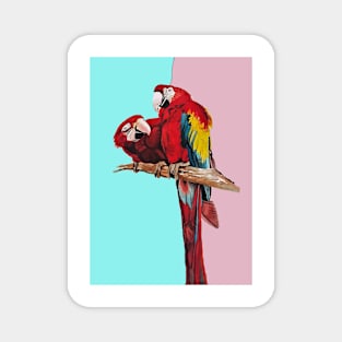 Macaw Parrot Watercolor Painting on Aqua and Pink Magnet