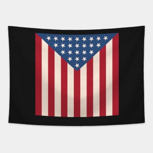 Draped in stars and stripes Tapestry