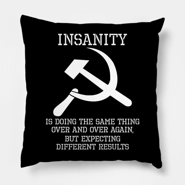 Insanity is doing the same thing over and over again, but expecting different results Pillow by Styr Designs