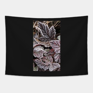 The Beauty and Stillness of Frosty Fall Leaves Tapestry