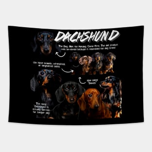 Dachshund Fun Facts Tapestry