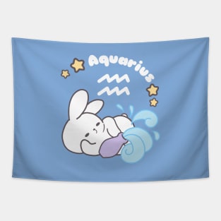 Aquarius Loppi Tokki Bunny Zodiac Series Tapestry