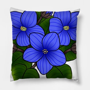 Blue African Violets in White Pillow