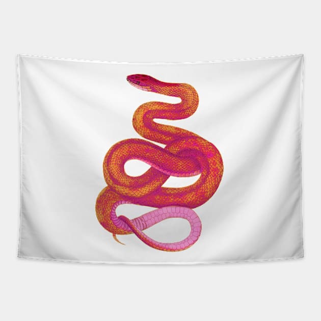 serpent,cobra,reptile,viper,venom,lizard,rattlesnake,king cobra,dragon,hydra,poison,venomous,plumber's snake,pythonidae,pythons,auger,python,squamata,serpentine,worm,big,ophidian,rattlesnakes,medusa,snakebite Tapestry by vabontchi