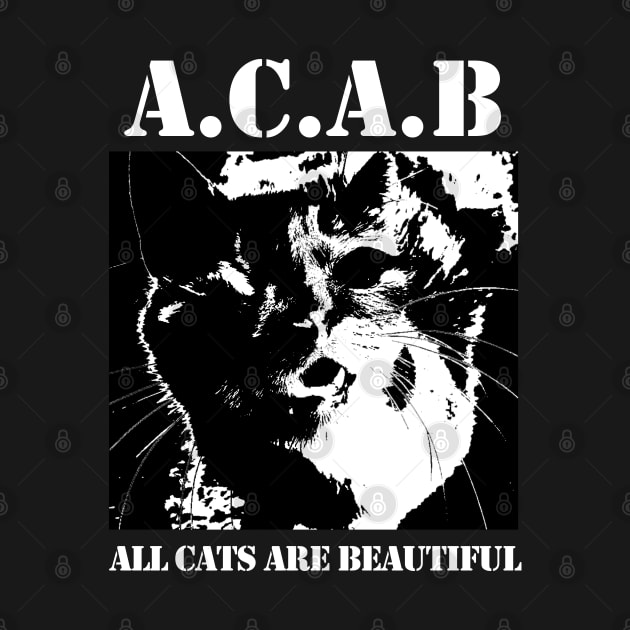 All Cats Are Beautiful by Vortexspace