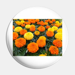 Marigolds Pin