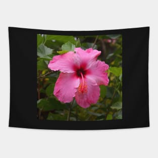 Pink Hibiscus Tapestry