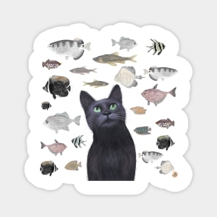 Birthday Black Cat and the Party Fish Gift Magnet