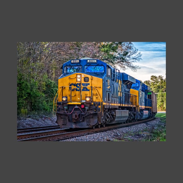 Train in South Carolina by Gestalt Imagery