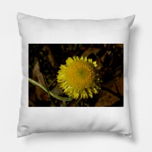 Button Everlasting Pillow