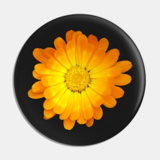 Yellow Flowers Black Background - by Avril Thomas Pin
