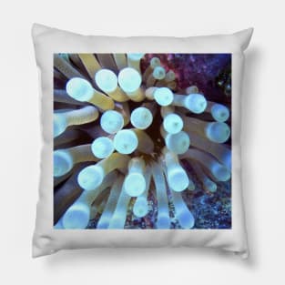 Sea Anemone Pillow