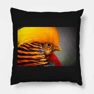 Pharaoh Pheasant Pillow