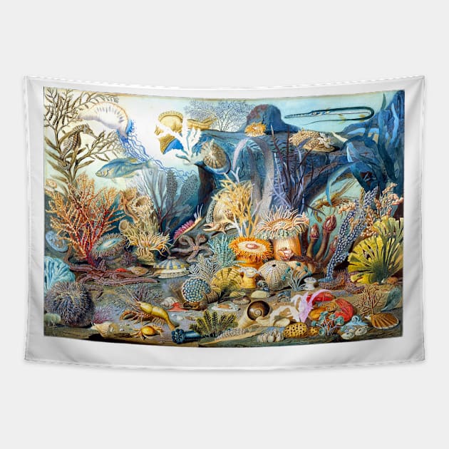 Ocean Life, James M. Sommerville 1859 Tapestry by rocketshipretro