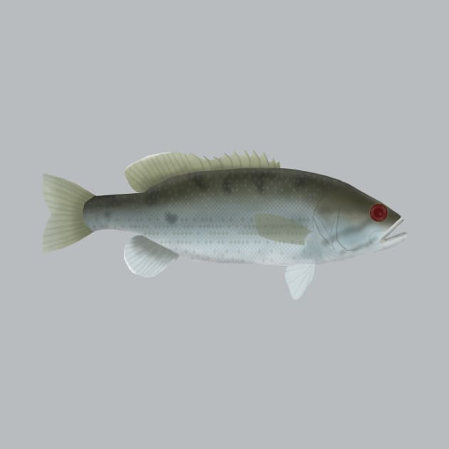 Redeye Bass by FishFolkArt