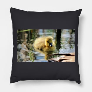 Baby duck Pillow