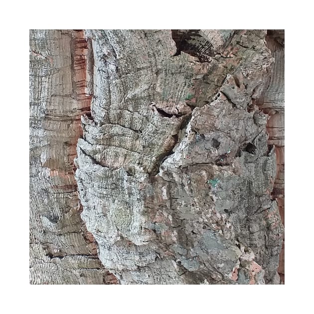 Cork Oak Tree Bark Texture 6 by oknoki