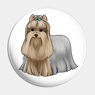 Dog - Yorkshire Terrier - Tan and Blue Show Cut Pin