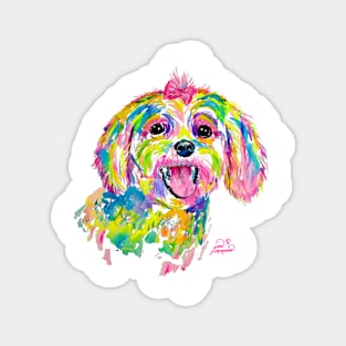 Maltese or Bichon Frise painting Magnet