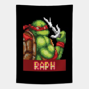 TMNT Raph Tapestry