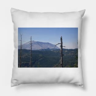 850_2280 Pillow