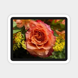 Rose in a Bouquet Photographic Image Magnet