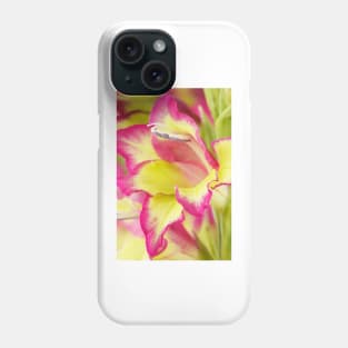 Gladiolus  'Laguna'  Also known as 'Flevo Laguna' Phone Case